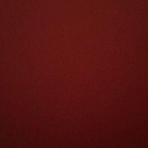 Meet your Posher, Bailey